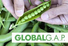 GLOBAL G.A.P- Thực hành nông nghiệp tốt toàn cầu